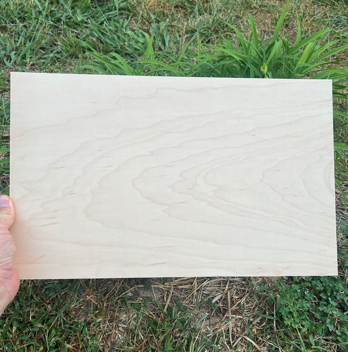 12x19.2" - 1/4" Maple - Solid Poplar Core